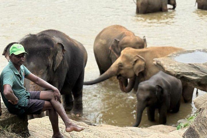 Private Kandy & Pinnawala Day Tour from Colombo