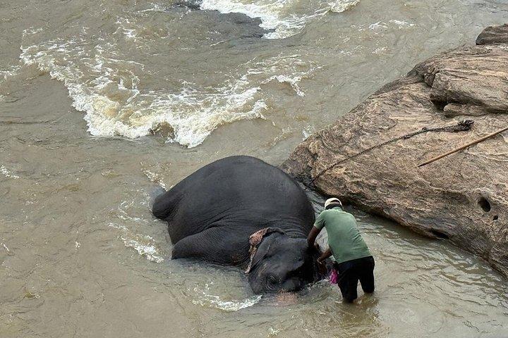 Private Kandy & Pinnawala Day Tour from Colombo