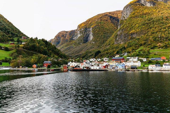 フラムスバナとフィヨルドクルーズで行くベルゲンからオスロへの日帰り旅行