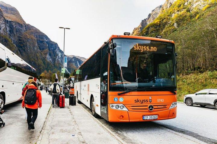 フラムスバナとフィヨルドクルーズで行くベルゲンからオスロへの日帰り旅行