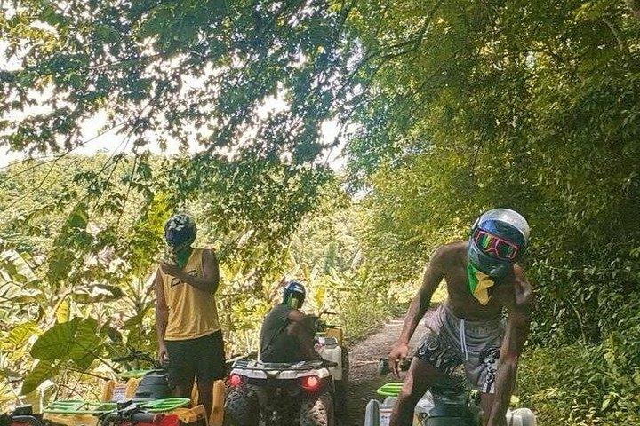プライベートジャマイカアドベンチャー：ATV、ジップライン＆ダンズリバーフォールズ