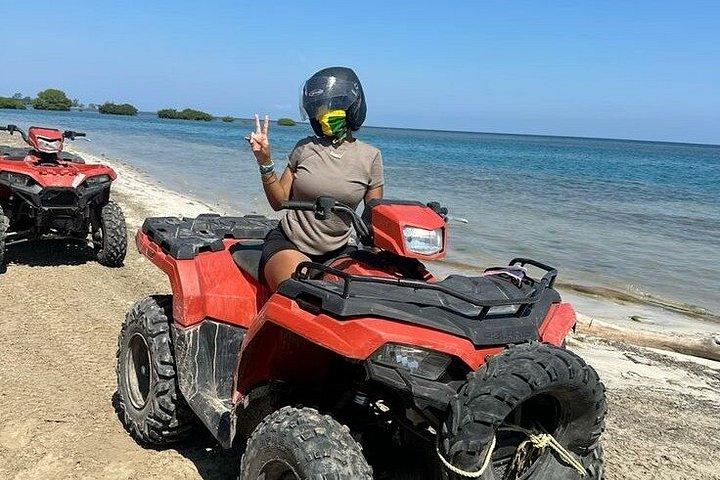 プライベートジャマイカアドベンチャー：ATV、ジップライン＆ダンズリバーフォールズ