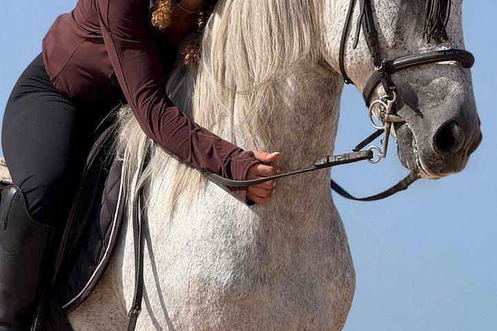 エッサウイラでお土産の写真とビデオで乗馬