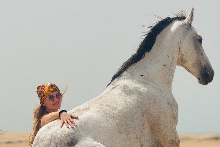 エッサウイラでお土産の写真とビデオで乗馬