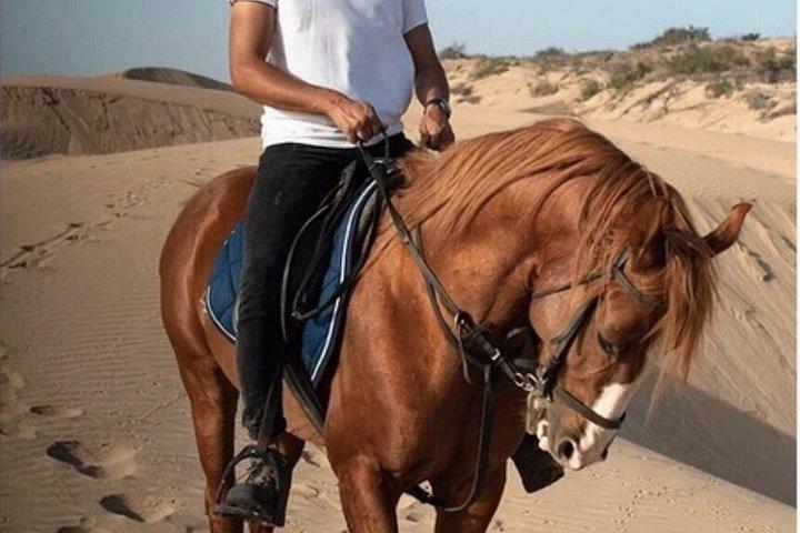 エッサウイラでお土産の写真とビデオで乗馬