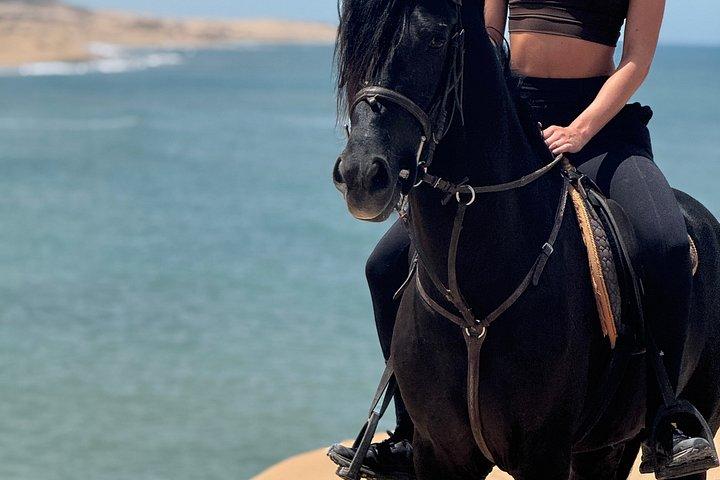 エッサウイラでお土産の写真とビデオで乗馬