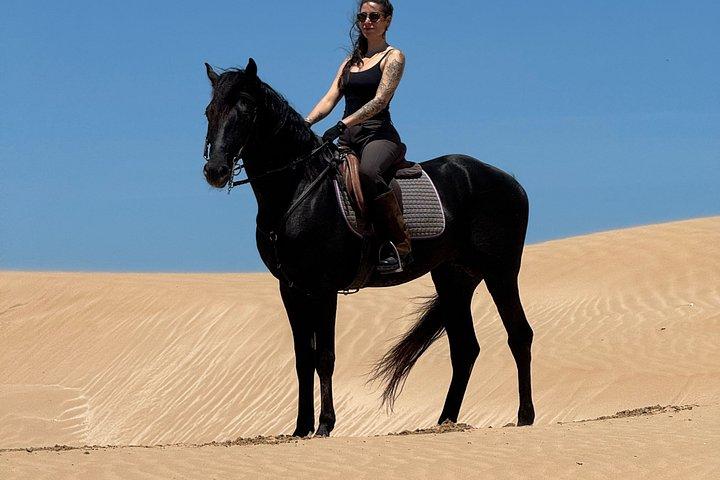 エッサウイラでお土産の写真とビデオで乗馬