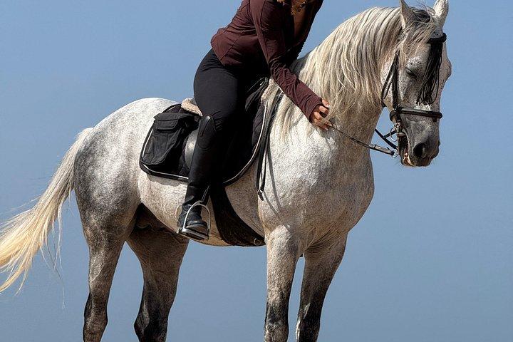 エッサウイラでお土産の写真とビデオで乗馬