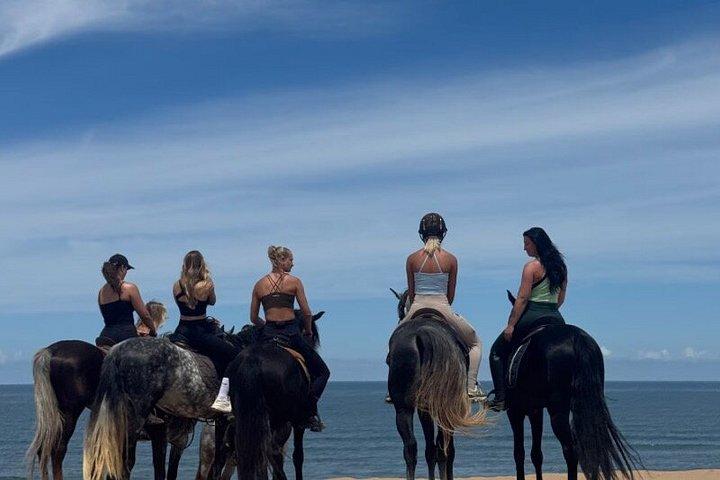 エッサウイラでお土産の写真とビデオで乗馬