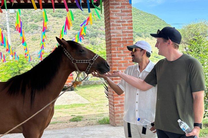 Authentische Mezcal Experience Oaxaca Kleingruppen lokale Produzenten