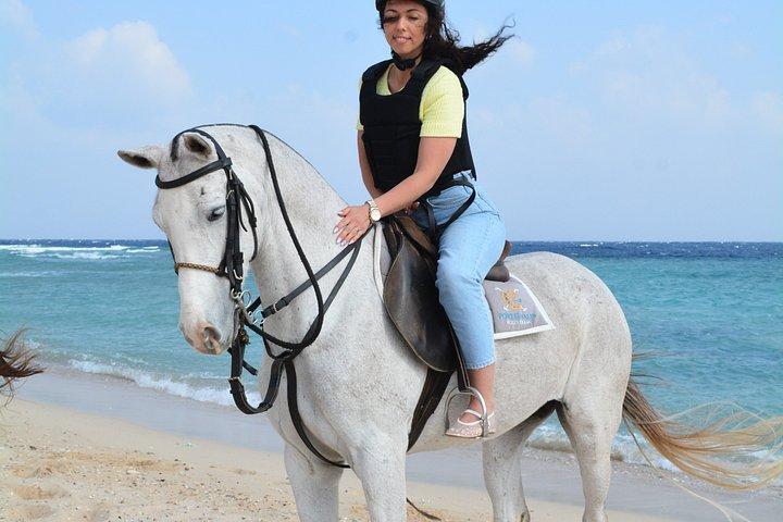 フルガダ乗馬砂漠ビーチと紅海スイムオプション