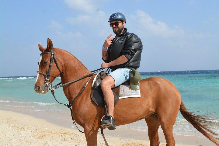 フルガダ乗馬砂漠ビーチと紅海スイムオプション