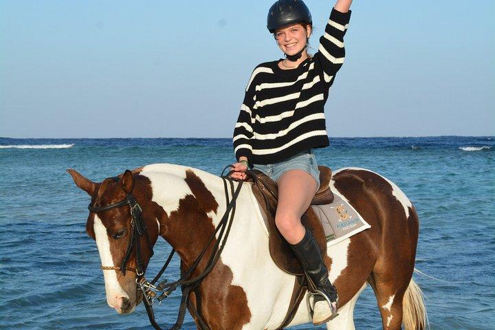 フルガダ乗馬砂漠ビーチと紅海スイムオプション