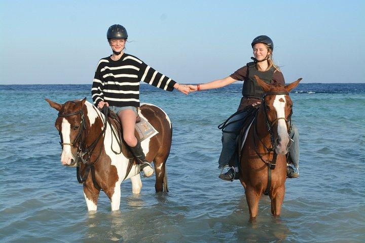 フルガダ乗馬砂漠ビーチと紅海スイムオプション
