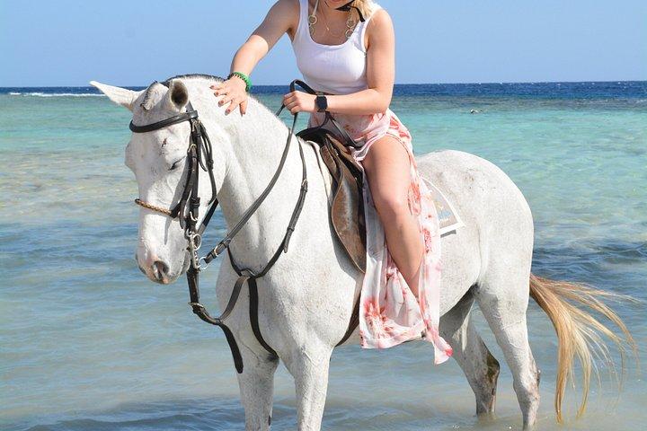 フルガダ乗馬砂漠ビーチと紅海スイムオプション