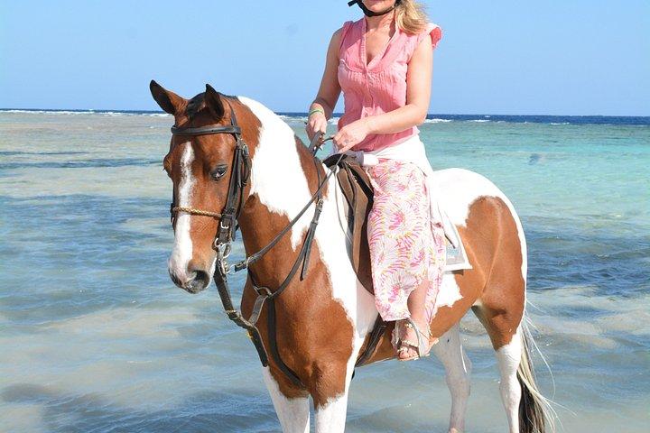 フルガダ乗馬砂漠ビーチと紅海スイムオプション