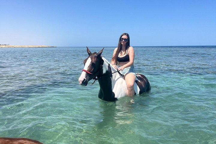 フルガダ乗馬砂漠ビーチと紅海スイムオプション