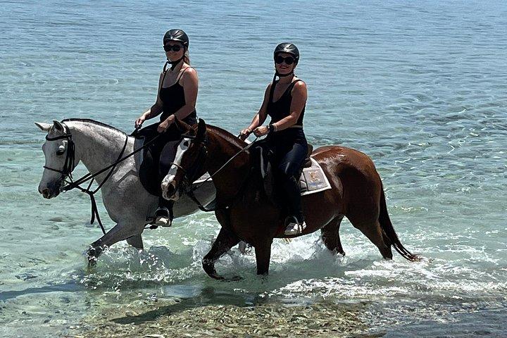 フルガダ乗馬砂漠ビーチと紅海スイムオプション