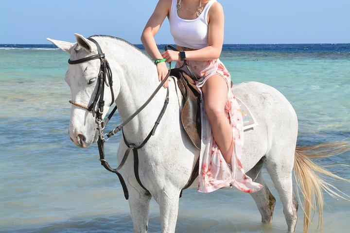 フルガダ乗馬砂漠ビーチと紅海スイムオプション