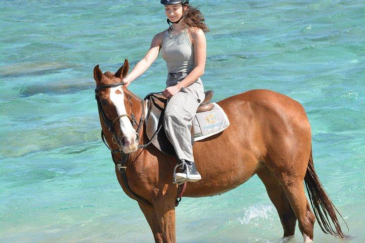 フルガダ乗馬砂漠ビーチと紅海スイムオプション