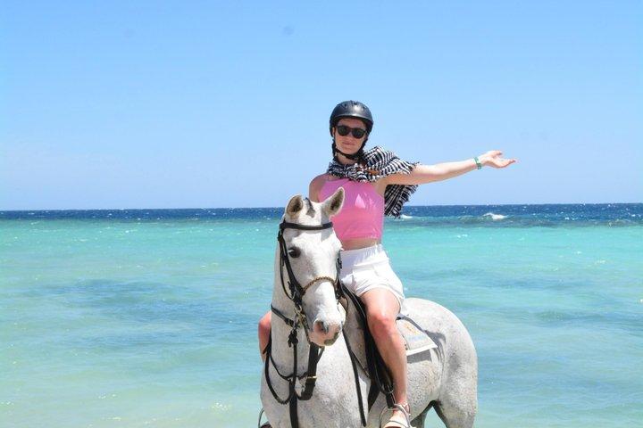 フルガダ乗馬砂漠ビーチと紅海スイムオプション