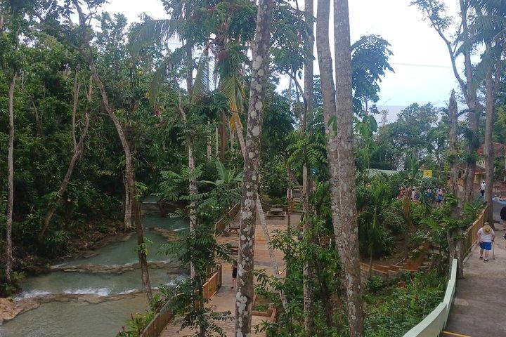 Expérience privée Dunn’s River Falls, Blue Hole et Margaritaville