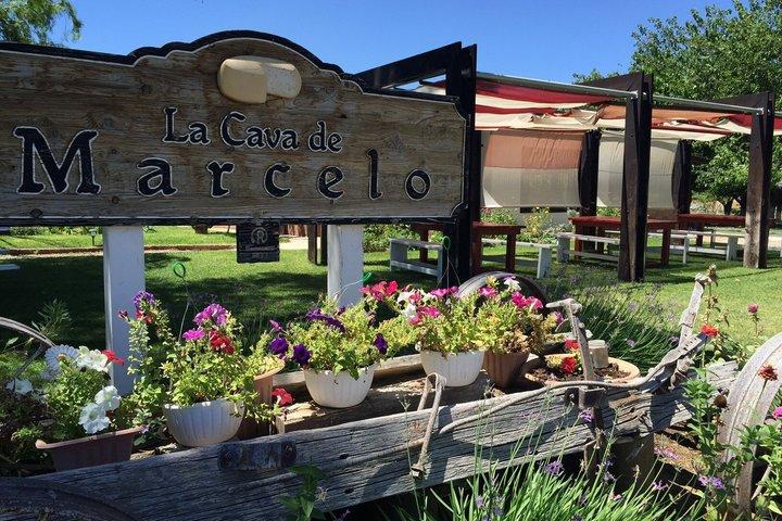 Ojos Negros Valley Wine and Cheese Route Tour in Baja California