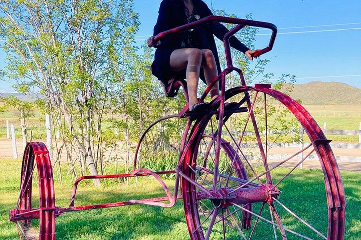 バジャーカリフォルニアのオホスネグロスバレーワインとチーズルートツアー