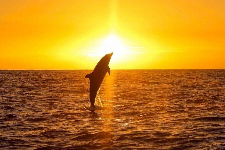 プライベートで贅沢なサンセットクルーズ(グルメハワイアンミール付き)