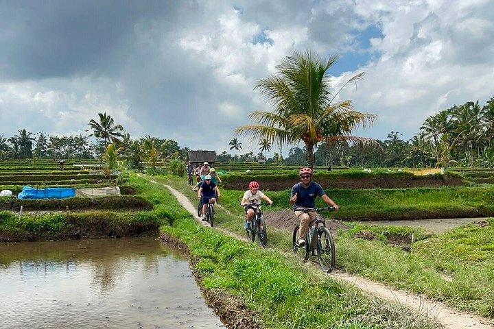 Ubud Wunderschöne Halbtages Downhill-Radtour mit Mittagessen