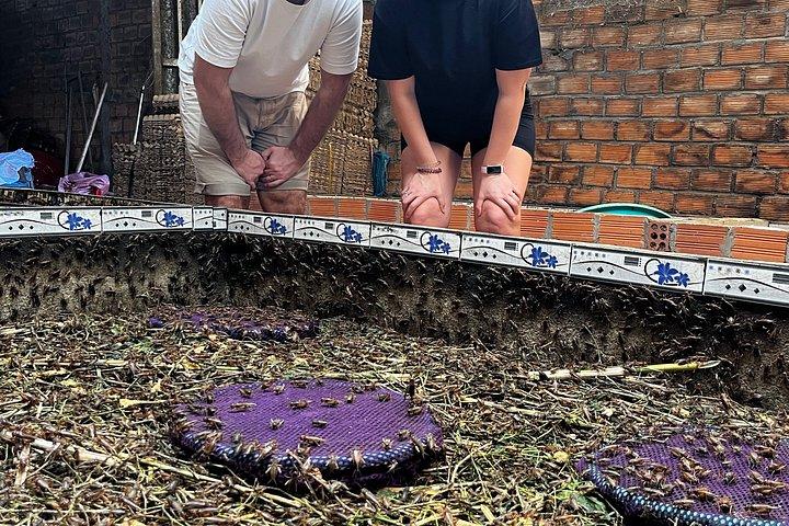 ダラットの田園地帯、ポンゴールと象の滝ツアー - 1 日