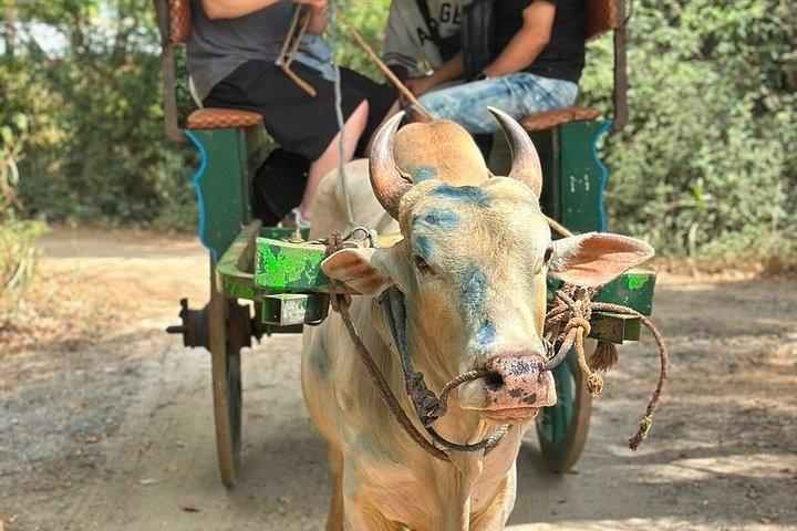 複数日にわたるカスタマイズ可能なスリランカツアーを強く推奨