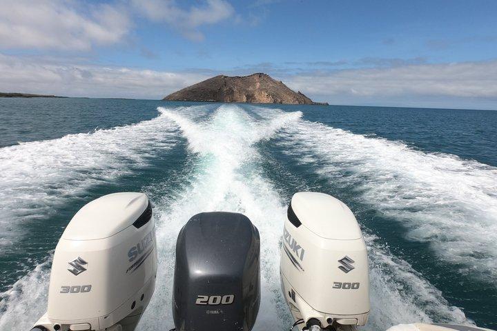 Isla Pinzón - Day Tour - From Santa Cruz - Islas Galápagos