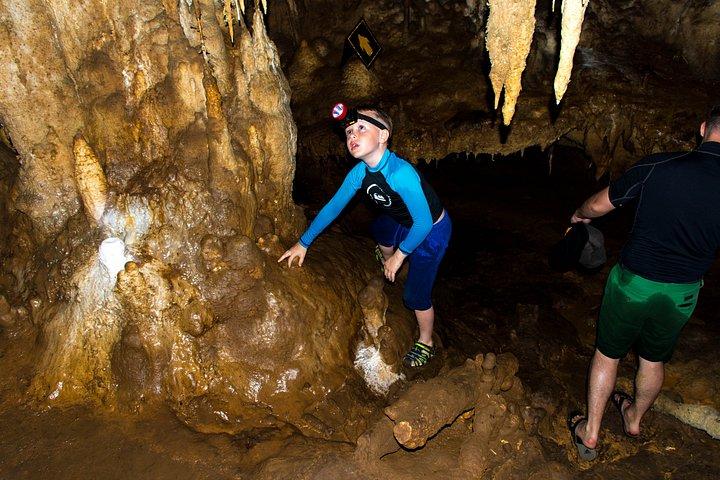ロングテールボートと昼食付きカオラックチュウラン湖日帰り旅行