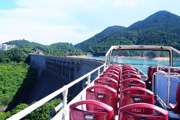 Bus Tours in Hong Kong