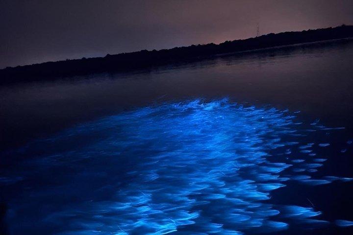Kuala Selangor Eagle Fireflies and Blue Tears Guided Tour w Din