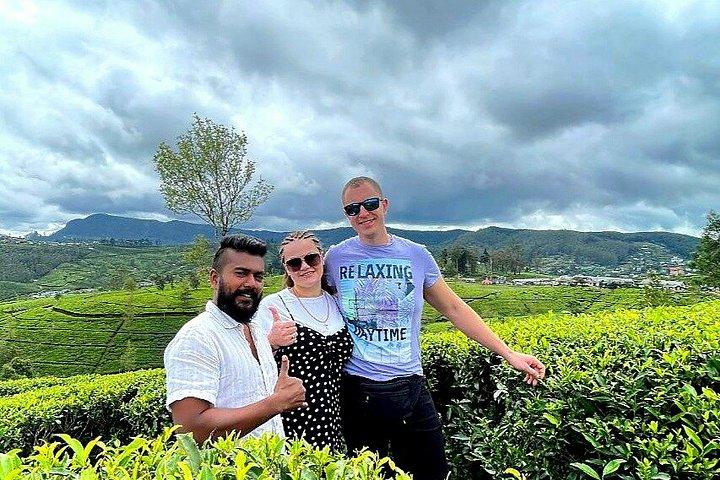 Private Sigiriya and Dambulla Day Tour with Driver Guide