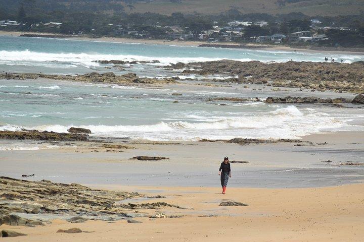 Great Ocean Road Experiences and Beyond