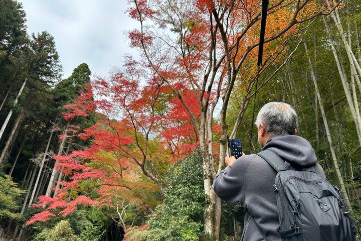 京都大阪奈良当日荷物配送