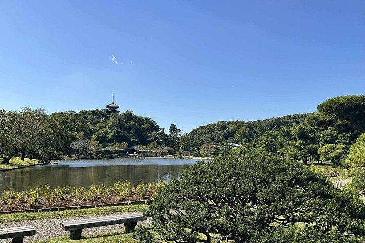 日本の博物館を巡る旅 文化の探求