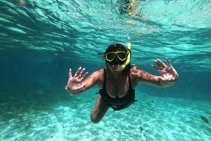 コスメル島のエル・シエロビーチでのシュノーケリングツアー（グループ参加）