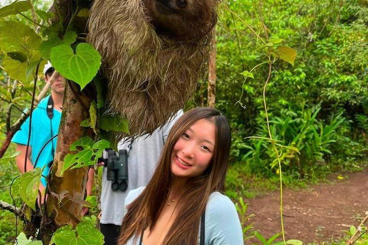 Sloth Watching, Miravalles Volcano, Hot Springs & Hidden Waterfall