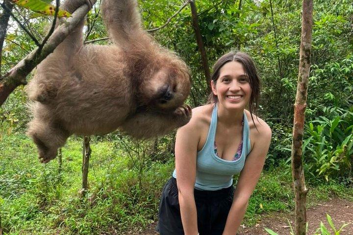 Sloth Watching, Miravalles Volcano, Hot Springs & Hidden Waterfall