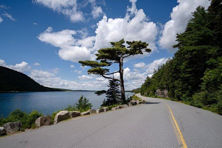 4 Hour Private Acadia Tour Cadillac Mountain & Somes Sound Fiord