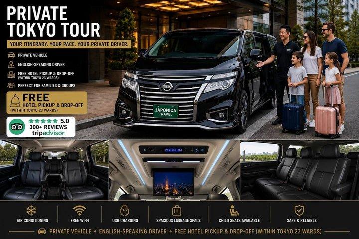 Tour privado a Tokio con conductor de habla Inglés y recogida en el hotel