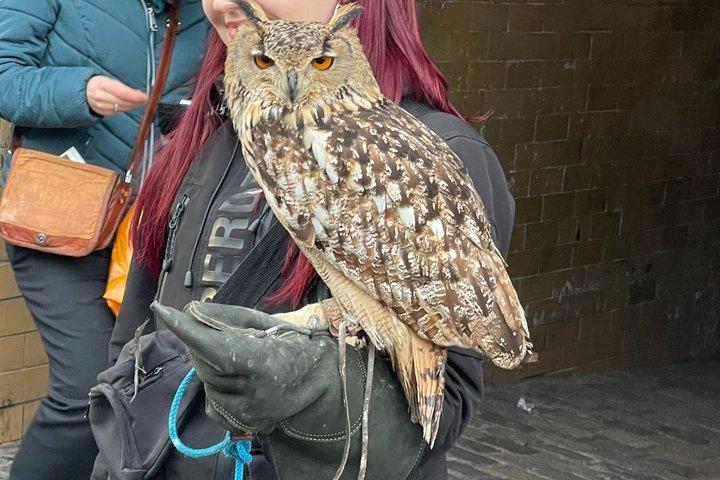 JK Rowling's Harry Potter Walking Tour in Edinburgh