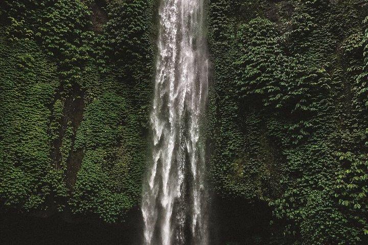 バリ島北部のムンドゥク・カスタマイズ8時間日帰りツアー