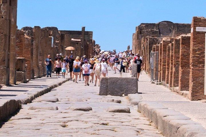 Escursione di un giorno a Pompei da Roma con ingresso
