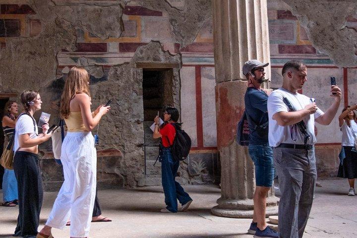 Escursione di un giorno a Pompei da Roma con ingresso