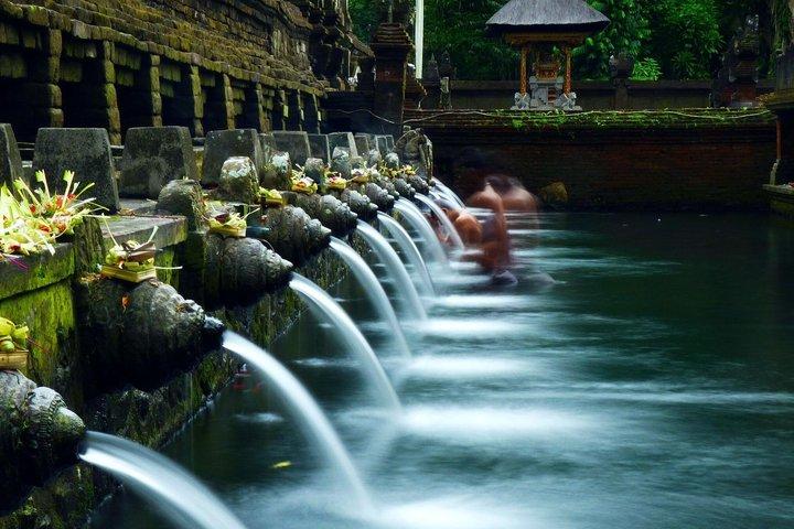 Ubud privat tur risfält tempel vattenfall.